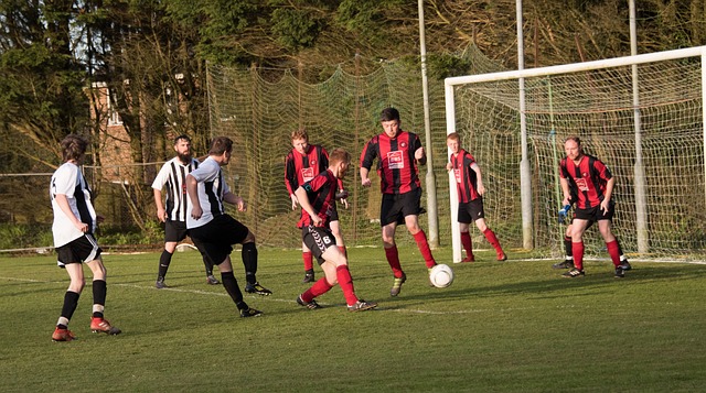 风像是我们 风像是我们