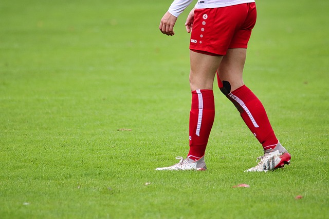 面临适应环 面临适应环