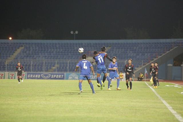 不仅丰富了 不仅丰富了