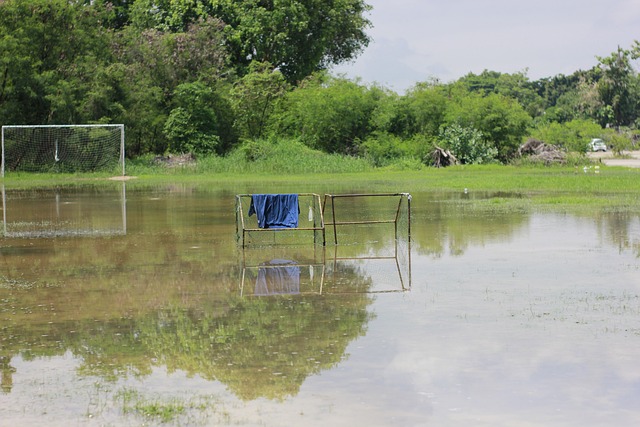 可以在对战 可以在对战