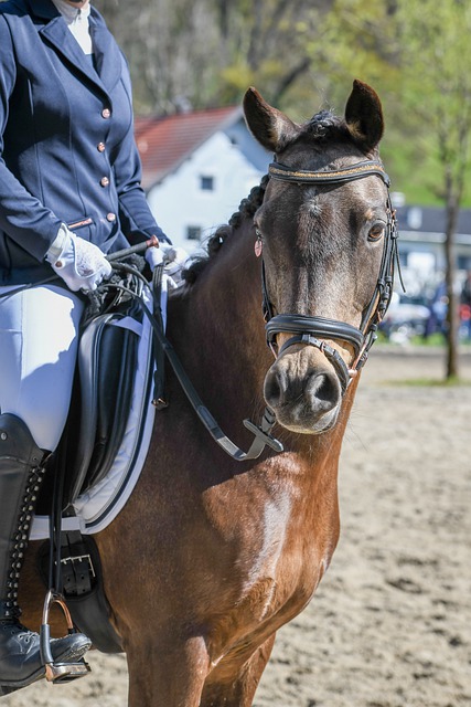 多尔足球未 多尔足球未