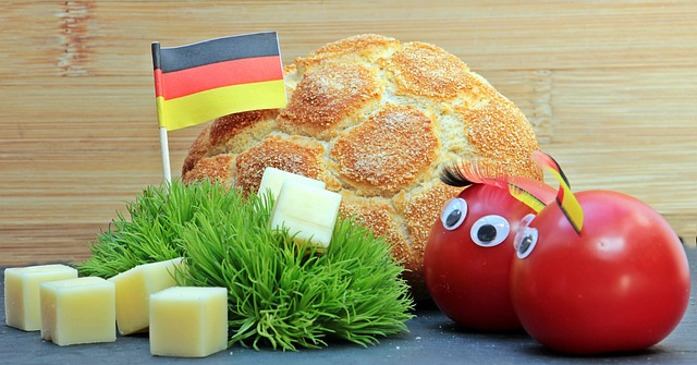 球队和球员 球队和球员