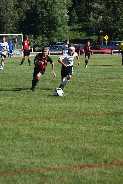 内人士的广 内人士的广